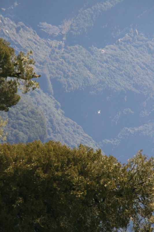 Nieuw-Zeeland 2011 - 1479